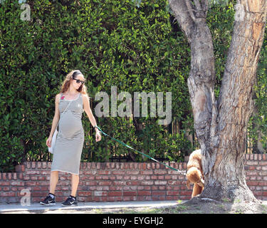 Jeff Goldblum's pregnant wife Emilie Livingston shows off her baby bump while walking their dog in West Hollywood  Featuring: Emilie Livingston Where: West Hollywood, California, United States When: 28 May 2015 C Stock Photo