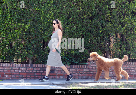 Jeff Goldblum's pregnant wife Emilie Livingston shows off her baby bump while walking their dog in West Hollywood  Featuring: Emilie Livingston Where: West Hollywood, California, United States When: 28 May 2015 C Stock Photo