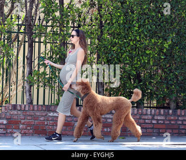 Jeff Goldblum's pregnant wife Emilie Livingston shows off her baby bump while walking their dog in West Hollywood  Featuring: Emilie Livingston Where: West Hollywood, California, United States When: 28 May 2015 C Stock Photo