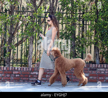 Jeff Goldblum's pregnant wife Emilie Livingston shows off her baby bump while walking their dog in West Hollywood  Featuring: Emilie Livingston Where: West Hollywood, California, United States When: 28 May 2015 C Stock Photo