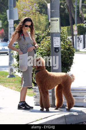 Jeff Goldblum's pregnant wife Emilie Livingston shows off her baby bump while walking their dog in West Hollywood  Featuring: Emilie Livingston Where: West Hollywood, California, United States When: 28 May 2015 C Stock Photo