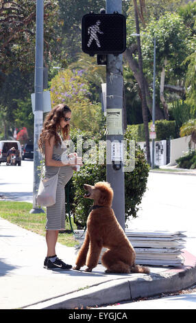 Jeff Goldblum's pregnant wife Emilie Livingston shows off her baby bump while walking their dog in West Hollywood  Featuring: Emilie Livingston Where: West Hollywood, California, United States When: 28 May 2015 C Stock Photo