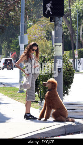 Jeff Goldblum's pregnant wife Emilie Livingston shows off her baby bump while walking their dog in West Hollywood  Featuring: Emilie Livingston Where: West Hollywood, California, United States When: 28 May 2015 C Stock Photo