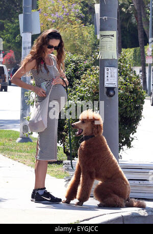 Jeff Goldblum's pregnant wife Emilie Livingston shows off her baby bump while walking their dog in West Hollywood  Featuring: Emilie Livingston Where: West Hollywood, California, United States When: 28 May 2015 C Stock Photo