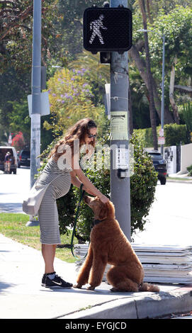 Jeff Goldblum's pregnant wife Emilie Livingston shows off her baby bump while walking their dog in West Hollywood  Featuring: Emilie Livingston Where: West Hollywood, California, United States When: 28 May 2015 C Stock Photo