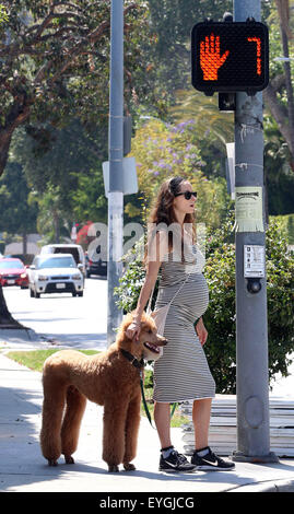 Jeff Goldblum's pregnant wife Emilie Livingston shows off her baby bump while walking their dog in West Hollywood  Featuring: Emilie Livingston Where: West Hollywood, California, United States When: 28 May 2015 C Stock Photo