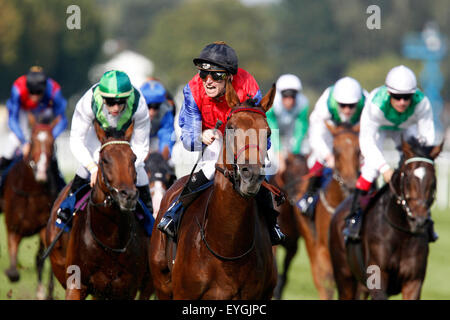 Iffezheim, Germany, horses and jockeys during a gallop race in action Stock Photo