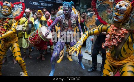 Kolkata, Indian state West Bengal. 29th July, 2015. Indian artists painted as tigers perform during a celebration of World Tiger Day in Kolkata, capial of eastern Indian state West Bengal, July 29, 2015. World Tiger Day is annually celebrated on July 29, aiming to raise awareness for tiger conservation. The population of tigers in India is estimated to be around 2,226, which represents a rise of over 30 percent since the last count in 2010, according to the latest census report released in January. Credit:  Tumpa Mondal/Xinhua/Alamy Live News Stock Photo