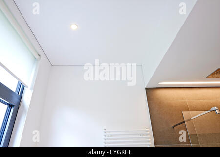 Detail of a vaulted ceiling without joints Stock Photo