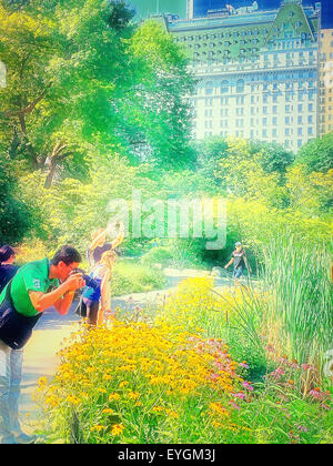 Central Park with the Plaza Hotel in background, NYC Stock Photo