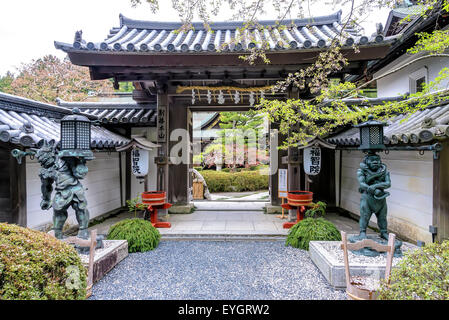 Bonsai tree at shrine in Japan. Beautiful zen garden with gravel