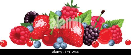 Berries isolated on white. Vector illustration. Stock Vector