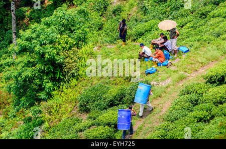 Porters, labors carrying drums and waiting people in group in the Hills amongst green grass, earning livelihood extreme hardship Stock Photo