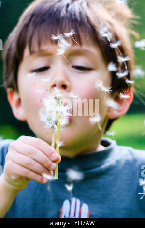 Boy blowing dandelion seeds from seedhead. Caucasian child, 6-7 years old. Close up, head and shoulders. Green tree background. Stock Photo