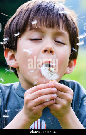 Boy blowing dandelion seeds from seedhead. Caucasian child, 6-7 years old. Close up, head and shoulders. Green tree background. Stock Photo