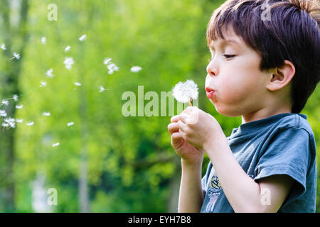 Boy blowing dandelion seeds from seedhead. Caucasian child, 6-7 years old. Close up, head and shoulders. Green tree background. Stock Photo