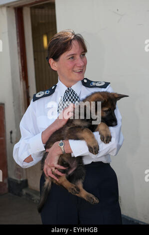 Assistant Commissioner Lynne Owens visits the Metropolitan Police Service Dog Training Establishment. Stock Photo