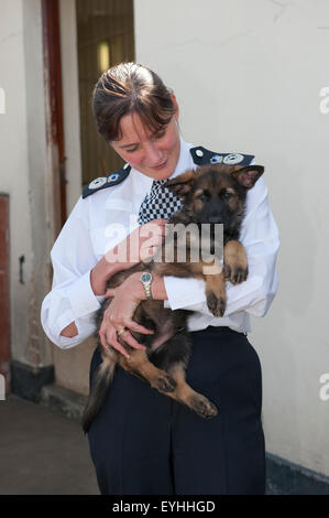 Assistant Commissioner Lynne Owens visits the Metropolitan Police Service Dog Training Establishment. Stock Photo