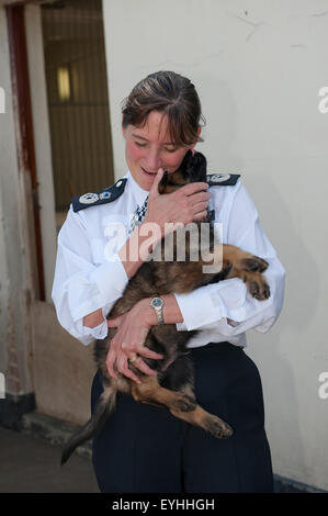 Assistant Commissioner Lynne Owens visits the Metropolitan Police Service Dog Training Establishment. Stock Photo