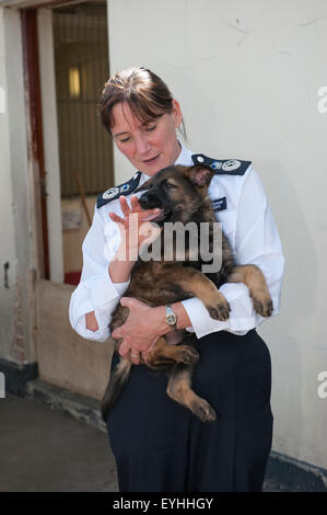 Assistant Commissioner Lynne Owens visits the Metropolitan Police Service Dog Training Establishment. Stock Photo