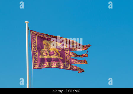 flag of the republic of venice golden lion of saint mark in red background six fringes Stock Photo