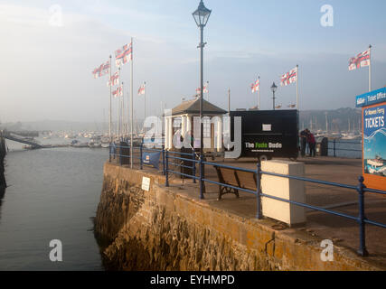 RNLI flags flying in the breeze on Prince of Wales pier, Falmouth, Cornwall, England, UK Stock Photo