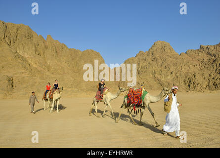 Tourists on a camel ride near Sharm El Sheikh Egypt Stock Photo