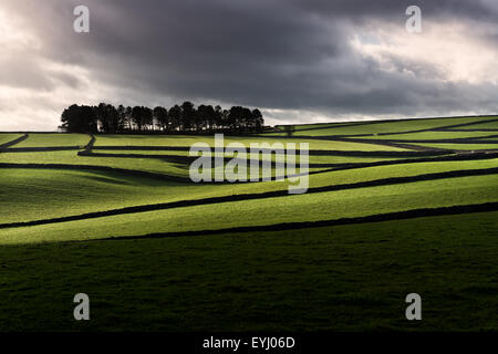 A view of Litton cemetery from Litton across the paddocks and dry stone walls. Stock Photo