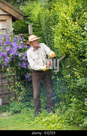 Cutting garden hedge with a petrol hedge cutter Stock Photo