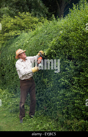 Man wearing safety goggles and gloves cutting garden hedge with a petrol hedge cutter Stock Photo