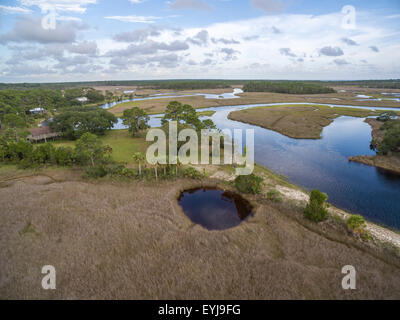 Salt marsh lining Fish Creek, Big Bend Seagrasses Aquatic Preserve, Florida Stock Photo