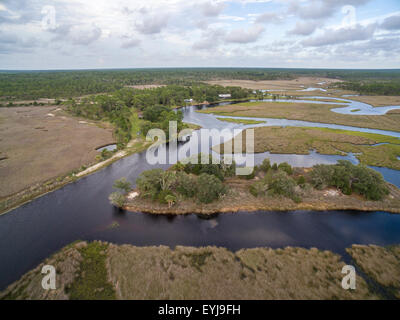 Salt marsh lining Fish Creek, Big Bend Seagrasses Aquatic Preserve, Florida Stock Photo