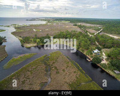 Salt marsh lining Fish Creek, Big Bend Seagrasses Aquatic Preserve, Florida Stock Photo