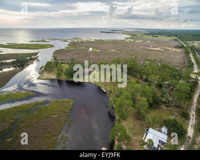 Salt marsh lining Fish Creek, Big Bend Sea Grasses Aquatic Preserve, Florida Stock Photo