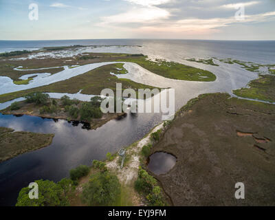 Salt marsh lining Fish Creek, Big Bend Seagrasses Aquatic Preserve, Florida Stock Photo