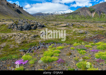 Snaefellsjokull National Park, Iceland Stock Photo