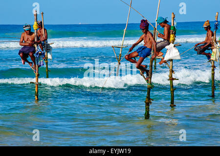 Sri Lanka, Southern Province, South Coast beach, Weligama beach, Stilt fishermen on the coast Stock Photo