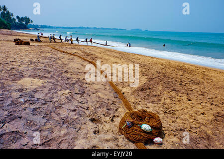 Sri Lanka, West Coast, Bentota, seine fishing on the beach Stock Photo