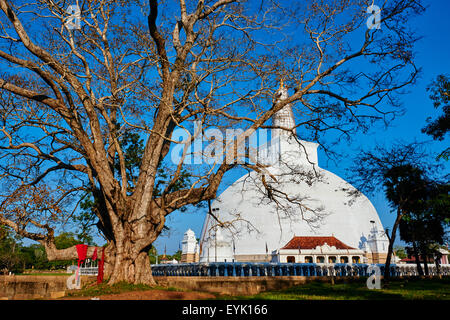 Sri Lanka, North Central Province, Anuradhapura, historic capital of Sri Lanka, UNESCO World Heritage Site, Ruvanvelisaya dagoba Stock Photo