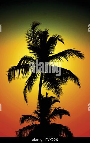 Tropical coconut palm tree top silhouette over a dramatic sunset sky. Stock Vector