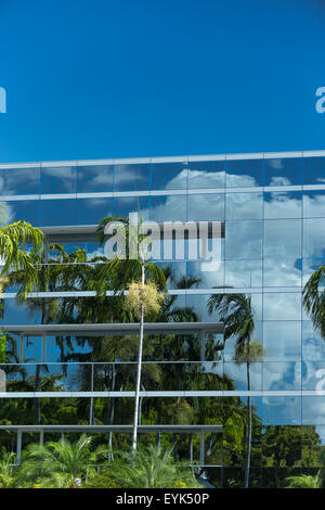 PALM TREES REFLECTED IN GLASS WALL OF SUBURBAN OFFICE BUILDING MIAMI FLORIDA USA Stock Photo