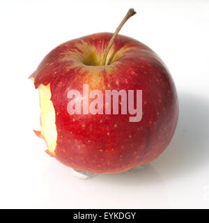 Apfel, Malus, domestica, Stock Photo