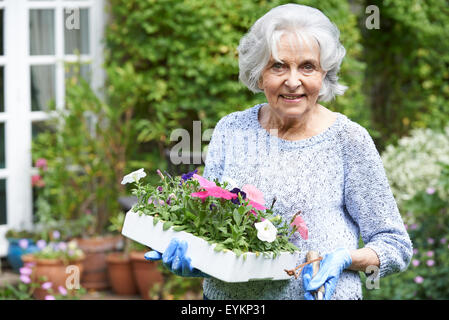 Portrait Of Senior Woman Planting Flowers In Garden Stock Photo