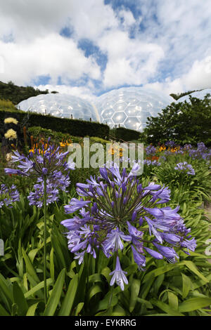 Outdoor garden, the Eden Project, St Austell, Cornwall, United Kingdom Stock Photo