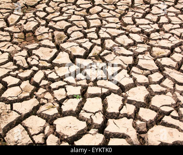 Dry cracked ground natural drought Texture background Stock Photo