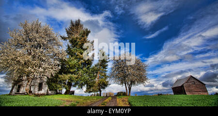 Springtime at an abandoned farm house with a new crop growing in the surrounding field. Stock Photo