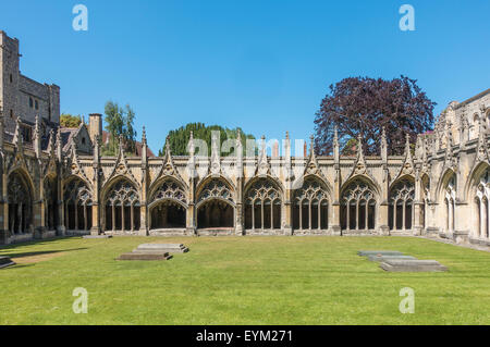 The Cloisters Canterbury Cathedral Kent UK Stock Photo