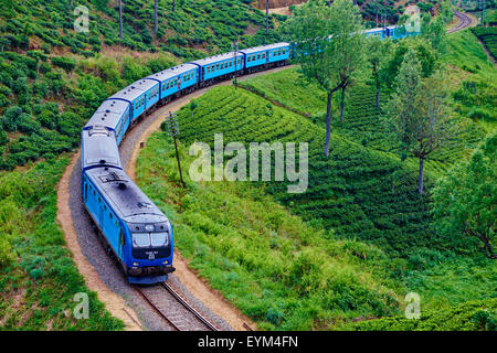 Sri Lanka, Ceylon, Central Province, Nuwara Eliya, train in the tea plantation Stock Photo