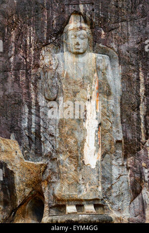 Sri Lanka, Ceylon, Central Province, Buduruwagala, Buddhist Rock Temple, Buddhist statues carved in a rock as rock relief Stock Photo