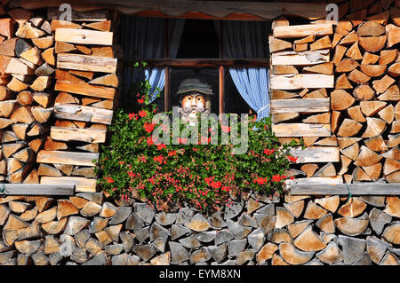 Landidyll, Blumenfenster, Holzscheite, Holzlarve Stock Photo